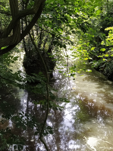 Parc de Craon N°2